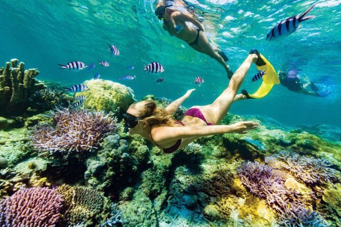 All Inclusive Bali Blue Lagoon Snorkeling with Lunch and Transport - From Seminyak to Padang Bai: how the day really flows