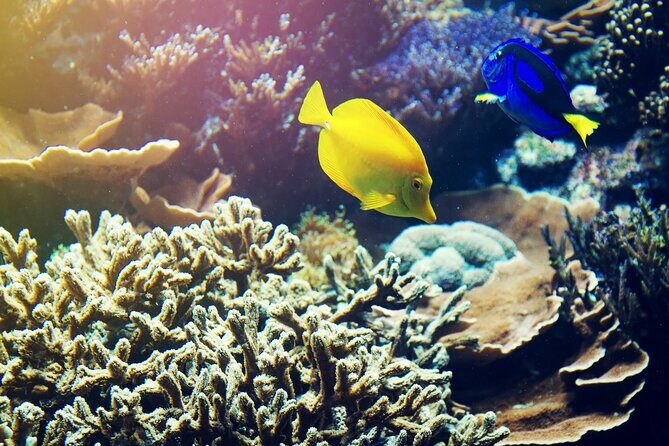 All Inclusive Bali Blue Lagoon Snorkeling with Lunch and Transport - Bias Tugel Beach at 3:00 p.m.: a “sand-hidden” palate cleanser