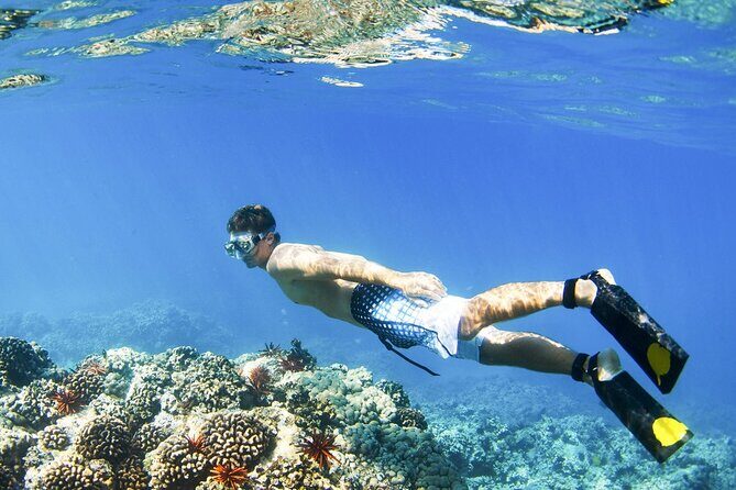 All Inclusive Blue Lagoon Snorkeling with Bali ATV Quad Adventure - The ATV quad adventure: jungle tracks, water features, and mud