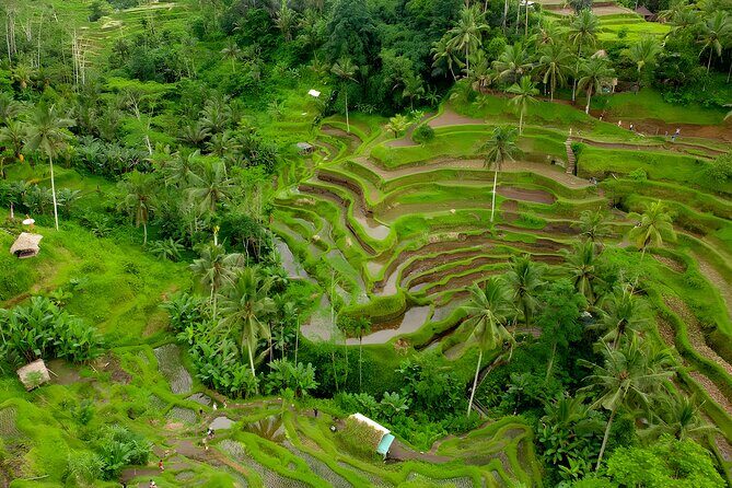 Ayung River Rafting and Kintamani Volcano Trip - Timing, transport logic, and how to get the best photos