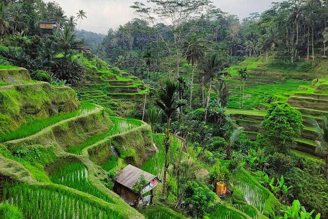 Bali Airport Pickup Transfer to Ubud Area (Private) - Optional Stops and Detours: Use the Flexibility