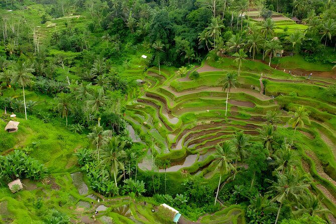 Bali ATV Ride And Ubud Tour Packages : Best Quad Bike Trip - Private Tour Comfort: Pickup, Vehicle, and Timing Feel