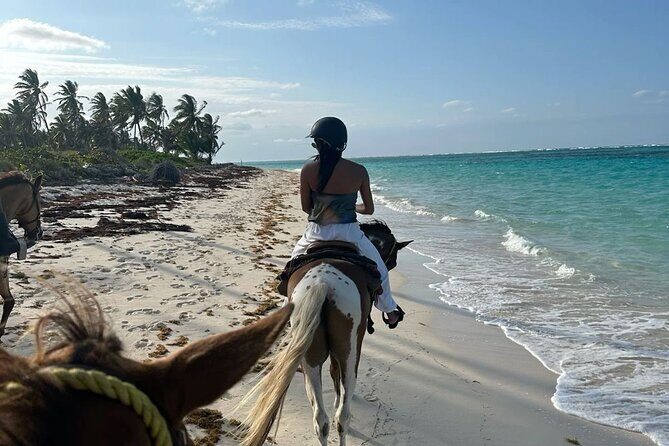 Bali Beach Horse Riding combo with waterfall All Inclusive - Quick hits before you go