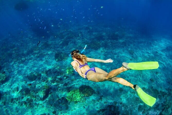 Bali Blue Lagoon Snorkeling and Waterfall Day Tour with Lunch - From Seminyak: the stress-free start that matters