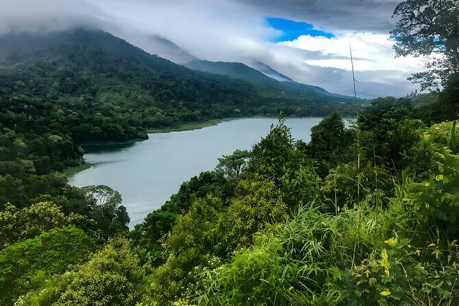 Bali Car Charter with English Speaking Driver - Sacred Monkey Forest Sanctuary in Ubud: Green Space With a Busy Cast
