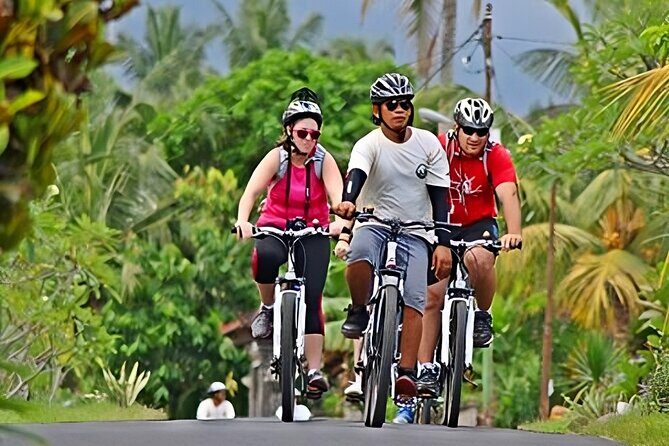 Bali Cycling and Uluwatu Tour Packages - Start Time 7:30 AM: How the Morning Sets the Tone