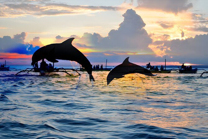 Bali Dolphin Watching Sunrise Tour in Lovina Beach - Who this sunrise Lovina tour fits best