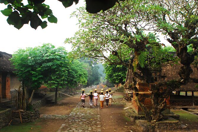 Bali Full-Day Car Charter: The Gates of Heaven Bali Tour - Tenganan Pegringsingan Village: Bali Aga Life and Ritual Traditions