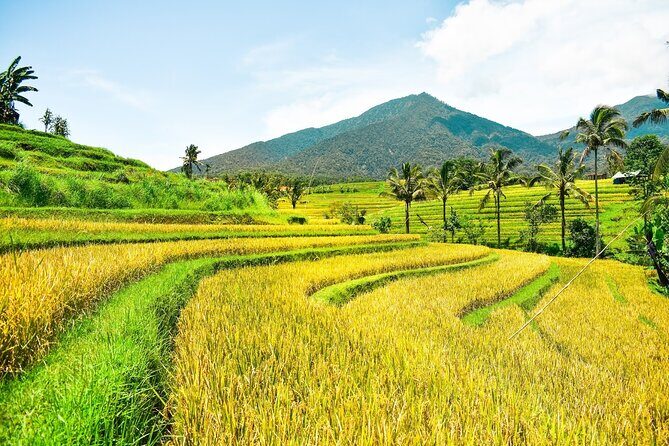 Bali Full-Day Private Customize Tour - Bali from Seminyak: how this 10-hour loop actually feels