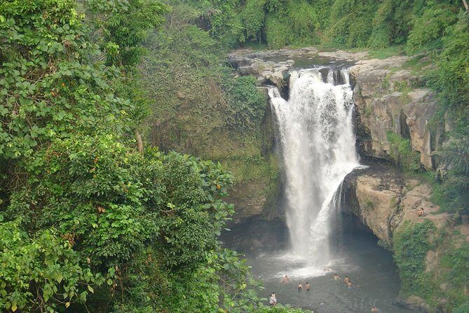Bali Full-Day Traditional Village Sightseeing Trip All Inclusive - Luwak Coffee Plantation and Balinese Rice Terraces Learning