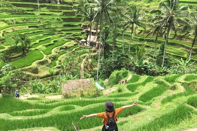 Bali Highlight Private Packages Tours 3 Days - Day 1 in Bali: crafts, rice terraces, Batur Volcano, and Tirta Empul’s blessing water