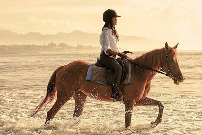 Bali Horse Riding, Waterfall, Rice Terrace, Lunch - All Inclusive - Key highlights you’ll feel right away