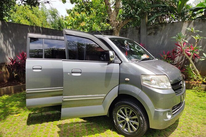 Bali Private Car Charter & Customize Tour With Driver English Speaking-Free WiFi - Satria Coffee Plantation and Tirta Empul: taste and ritual