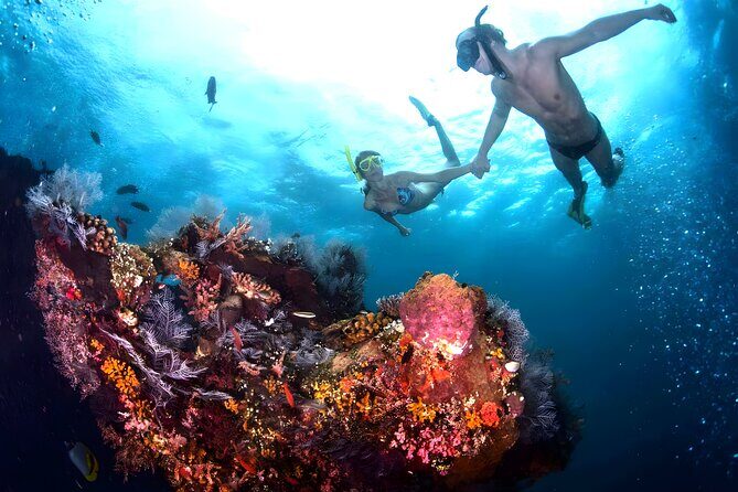 Best Snorkeling Activity in Blue Lagoon Beach Bali - Why Blue Lagoon Snorkeling in Padangbai Works So Well