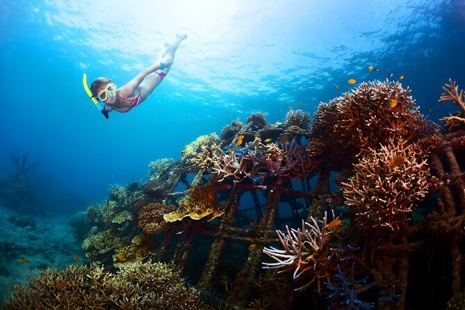 Best Snorkeling Activity in Blue Lagoon Beach Bali - First Snorkel Spot: Coral Reef Viewing in Calm, Sandy Water