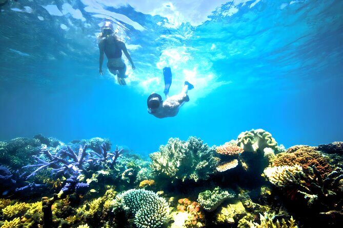 Best Snorkeling Activity in Blue Lagoon Beach Bali - Who This Snorkeling Tour Fits Best