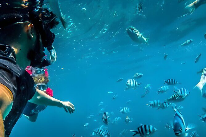 Best Snorkeling Activity in Blue Lagoon Beach Bali - Getting There: Private Pickup, Then a Sharing Boat