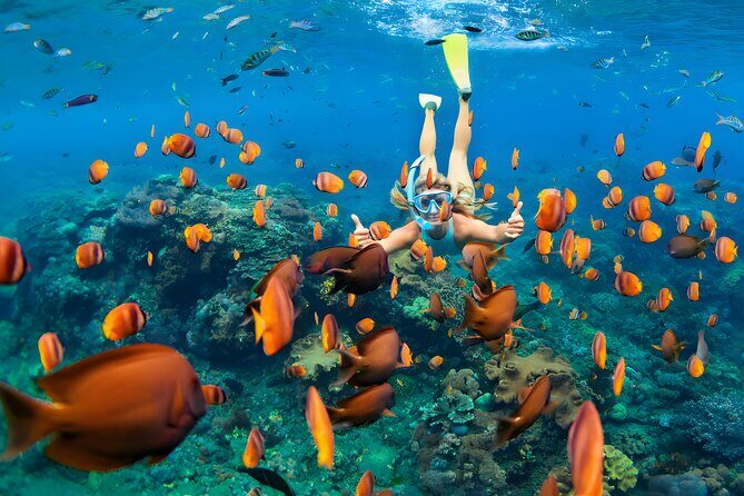Blue Lagoon Snorkeling and Uluwatu Sunset Tour - Jimbaran Beach seafood dinner: the salty finale