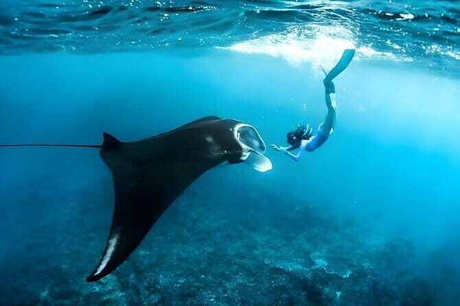 Blue Lagoon Snorkeling with Lunch and Private Transport - Pickup and private transport from Seminyak