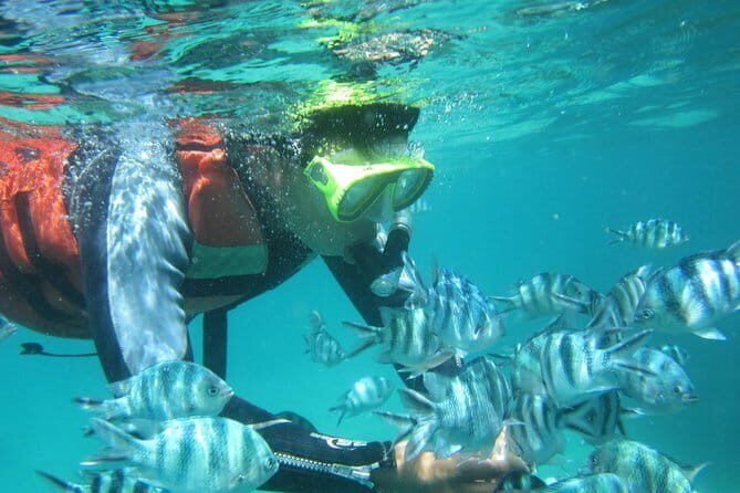 Blue Lagoon Snorkeling with Lunch and Waterfall in Ubud - Who should book this private Blue Lagoon day?