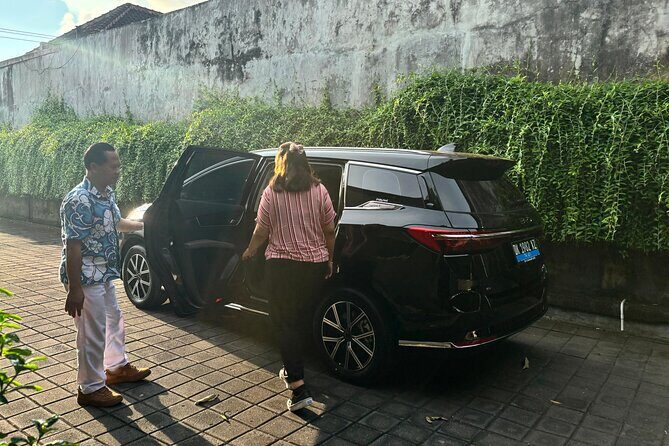 Eco Friendly Premium Electric Vehicle Airport Transfers - Mobile Ticket and Meeting Point Reality