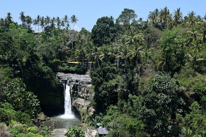 Full day Tour to Best of Ubud with jungle swing - Timing, what to bring, and how to make photos easier