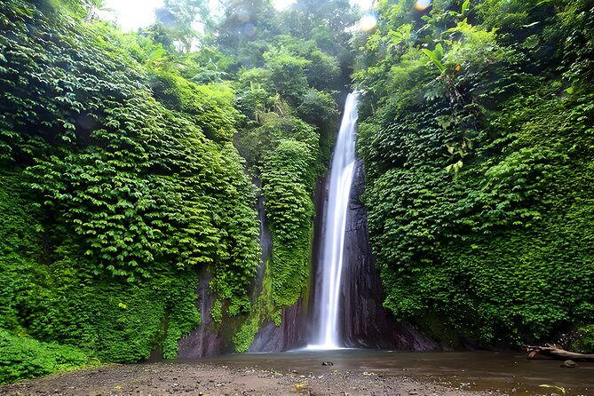 North Bali Tour - Visiting Rice Terrace, Lake, Waterfall, Temple and Hot Spring - Door-to-door pickup from Seminyak (and the wider south coast)