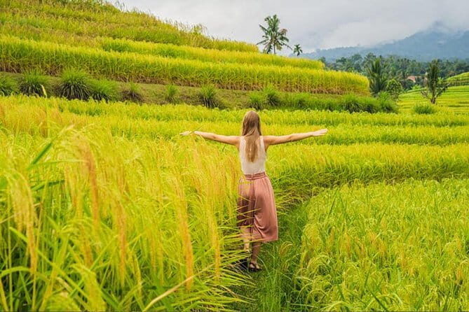 Private Airport Transfers by top trusted Drivers in Bali - From Ngurah Rai to Seminyak: The Real Point of a Private Transfer