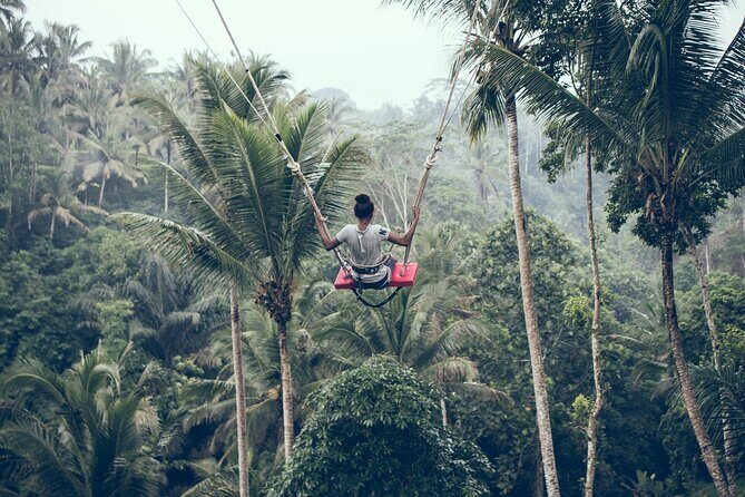 Private Bali Car Charter with Driver up to 6 People - Price and value: $69.26 per group for a full 10-hour day