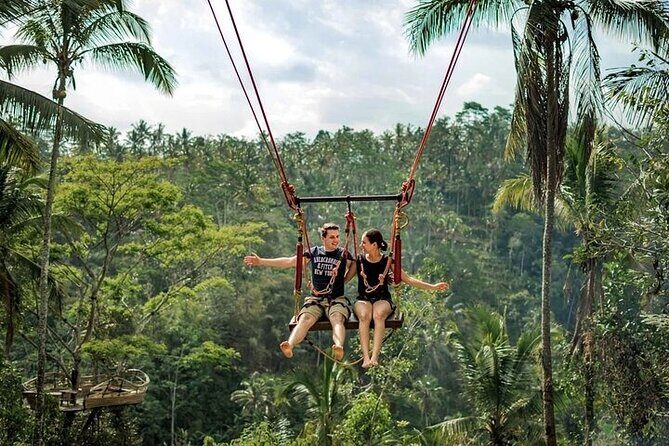 Private Day Tour In Ubud With Jungle Swing All Inclusive - Key highlights you can plan around