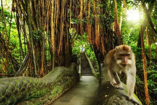 Private Day Tour In Ubud With Jungle Swing All Inclusive - Stop 1: Picheaven Bali Swing for high swings and big canyon views