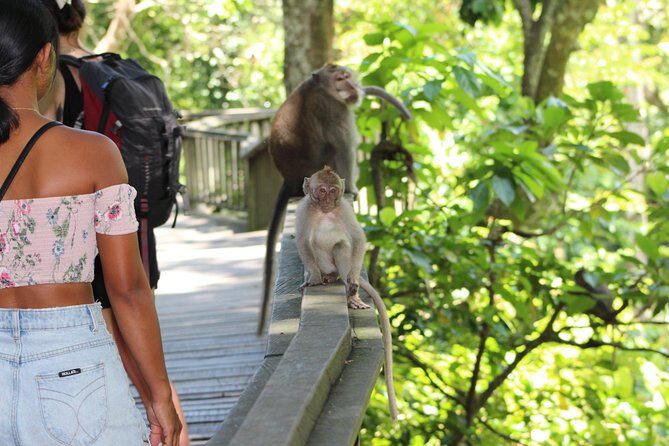 Private Full Day Tour to Ubud Highlights with Giant Swing - Price and Inclusions: Is $73 Good Value for This Day?