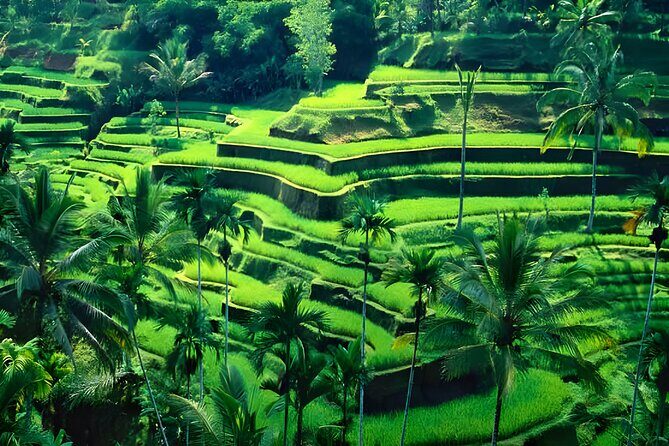 Private Full-Day Tour: Ubud and Uluwatu Temple Trip - Uluwatu Temple near sunset: when the views do most of the talking