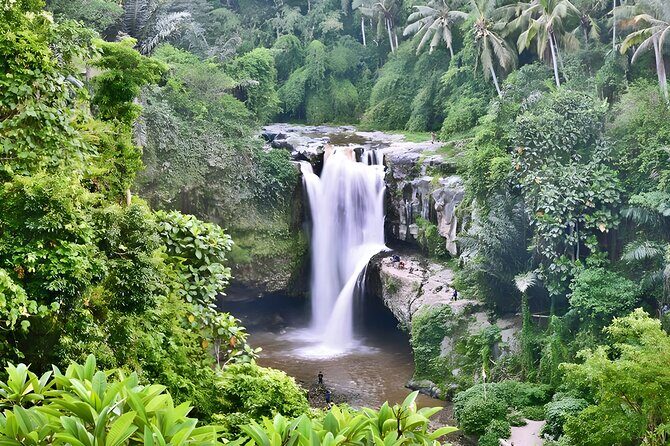 Private Half Day-Tour: Ubud Art Village Trip - From Seminyak to Ubud: what the private pickup really buys you