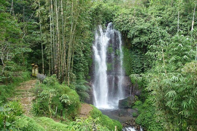 Private Munduk Waterfalls Trekking Tour - Kopi Luwak at the start: caffeine and a culture lesson