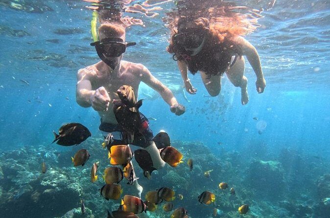 Private Snorkeling from Nusa Penida - Gamat Bay: Coral Reefs and Lots of Fish Time