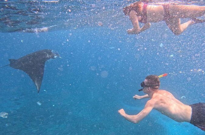 Private Snorkeling from Nusa Penida - Crystal Bay: Easygoing Water Time and a Breather Spot
