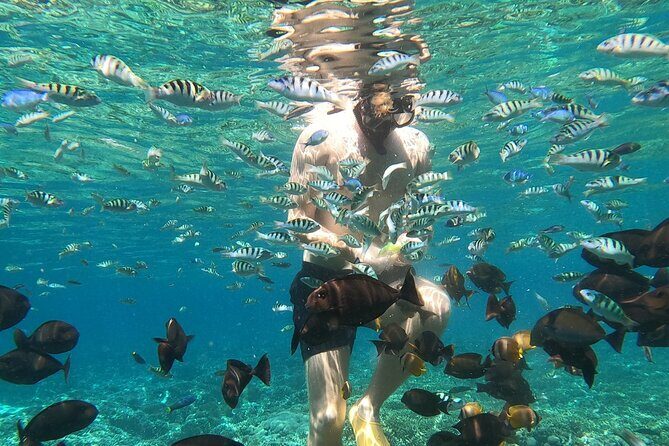 Private Snorkeling from Nusa Penida - Start at 6:30 am From Sanur Harbour Without the Chaos