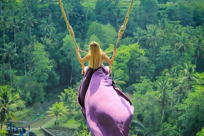 Private Tour: Gates of Heaven,Tukad Cepung Waterfall, Tirta gangga - Transport and timing: pickup, route pacing, and staying on track