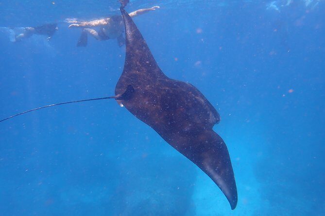Snorkeling Day Trip To Lembongan and Penida - How the day starts: Serangan port and the Lembongan base