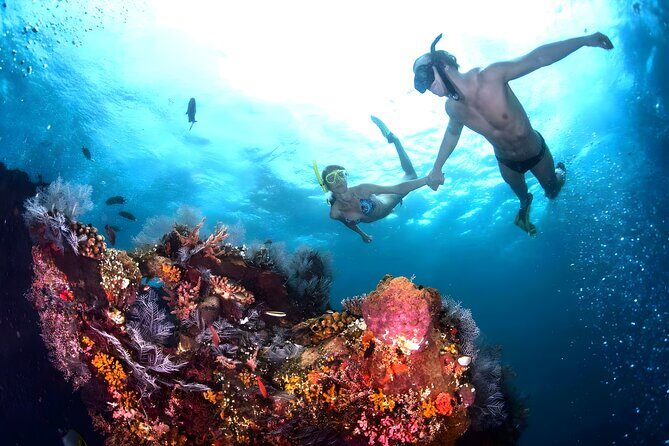 Snorkeling in Blue Lagoon Padang Bai Bali : Snorkel in the clear blue waters - Lunch after the reef: a simple reset that keeps the day smooth