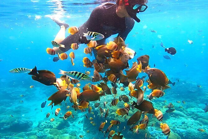 Snorkeling In Nusa Penida Island With Manta Ray From Bali - How to Judge This Tour Based on Reviews Without Getting Paralyzed