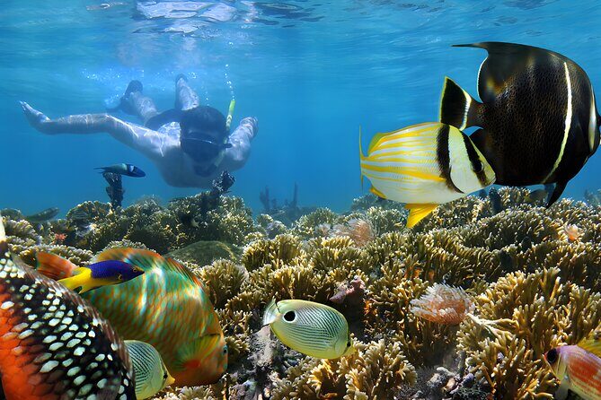 Tanjung Benoa Water Sports: All Inclusive Bali Activities - What’s Included vs. What You Might Still Pay for