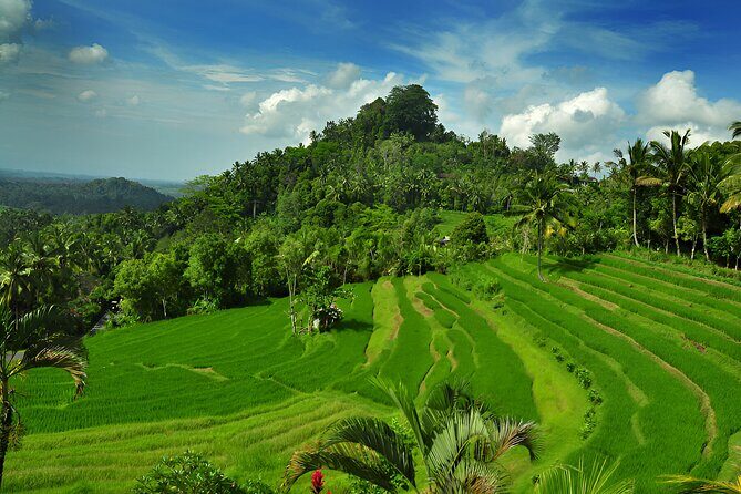 Telaga Waja White Water Rafting and Besakih Temple Tour - Lunch on the Schedule: Buffet Fuel Before Temple Time