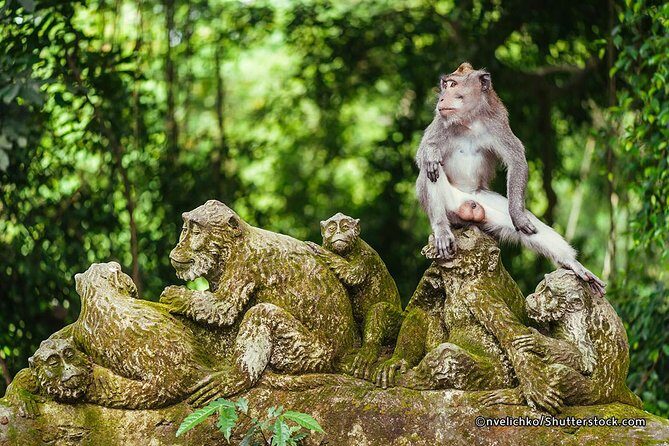 The Best of Ubud Tour and Jungle Swing - Pickup and comfort from Seminyak: the boring stuff done right