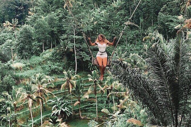 Tlaga Singha Infinity Pool, Jungle swing & Rice Terrace Trip - Should you book Tlaga Singha, swing, and rice terraces?