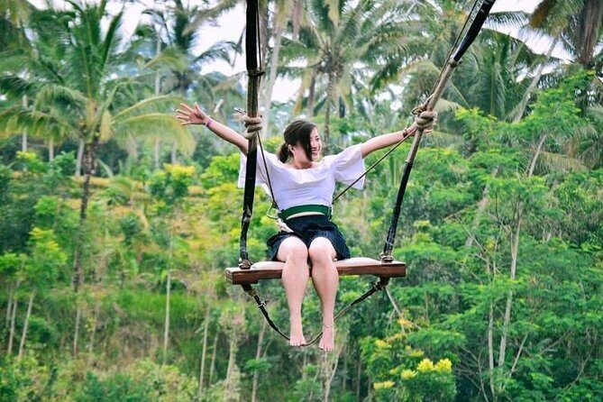 Ubud Experience | Full Day Private Tour in Ubud | FREE WIFI - Key highlights to know before you go