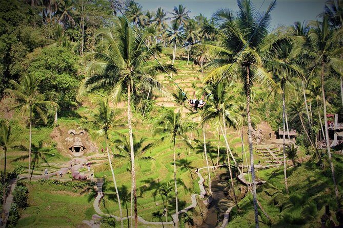 Ubud Experience | Full Day Private Tour in Ubud | FREE WIFI - Tegenungan Waterfall: nature lovers’ break mid-day