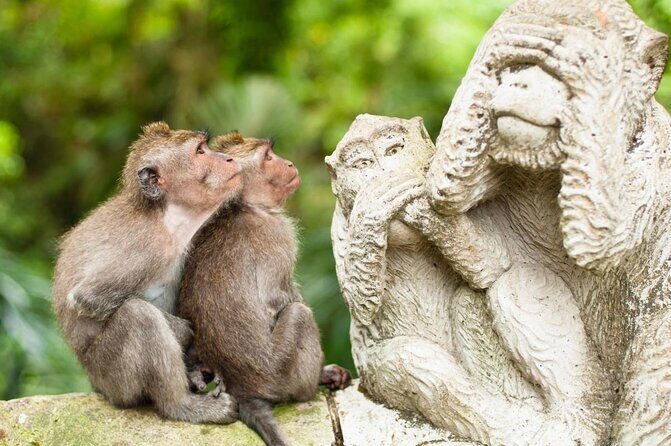 Ubud Private Full-Day Tour - Key things to know before you go