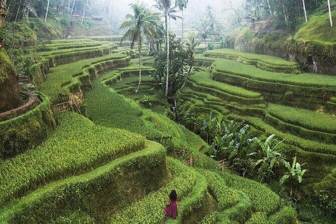 Ubud Private Full-Day Tour - Custom Ubud flexibility: when “highlights only” isn’t your style